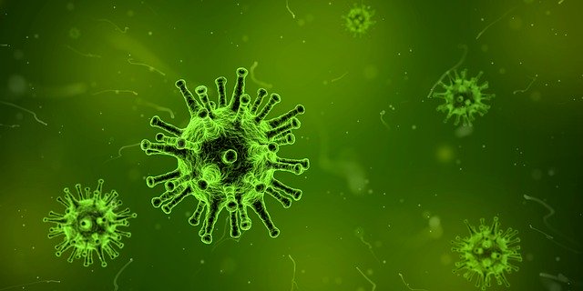 Veja a situação de emergência com a epidemia do Coronavírus